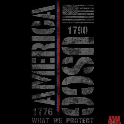 USCG What We Fight For America Coast Guard Veteran Decal Sticker