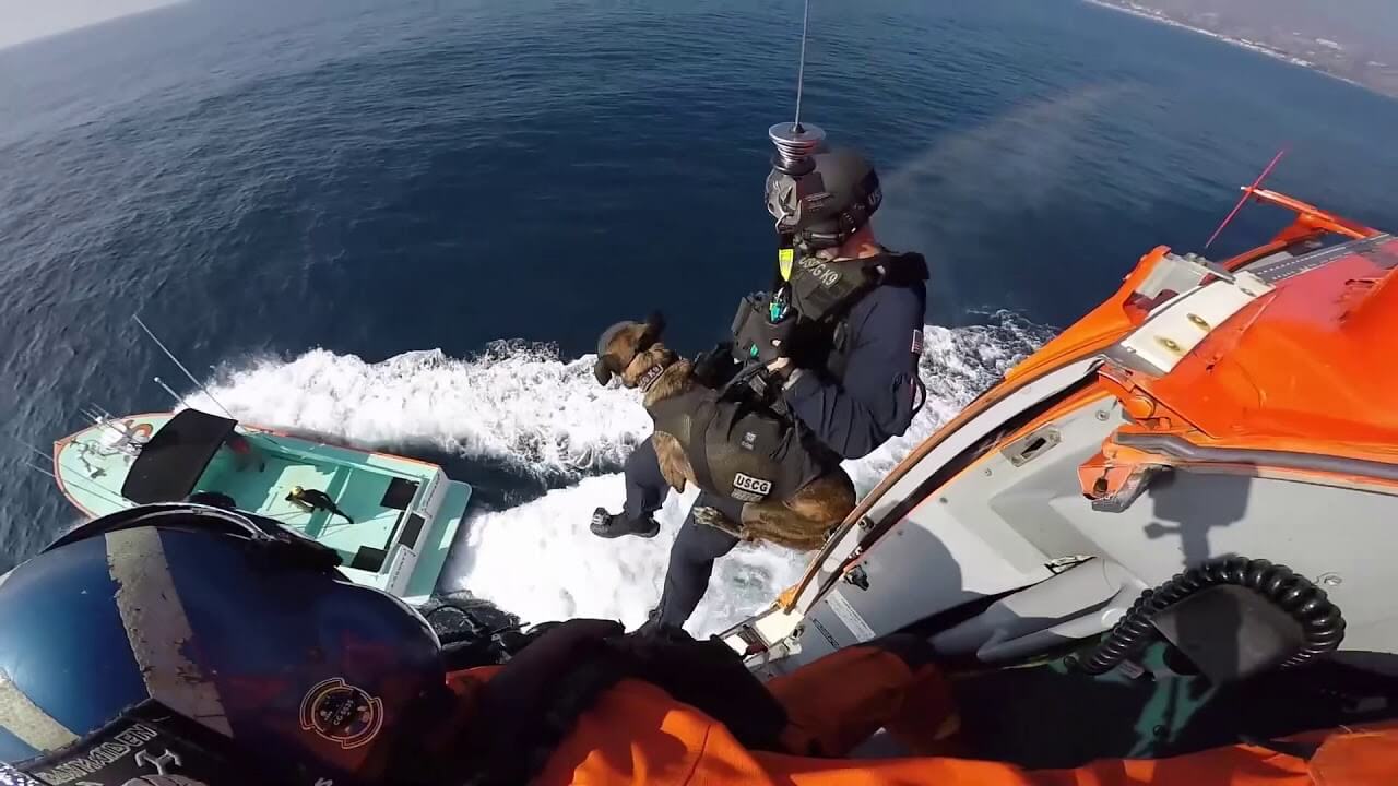 Coastie K9 Veteran Dog with their Handler dropping down into the zone